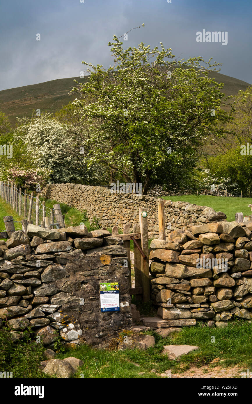 UK, Cumbria, Sedbergh, stone stile on Dales High Way path leading to Settlebeck Gill Stock Photo