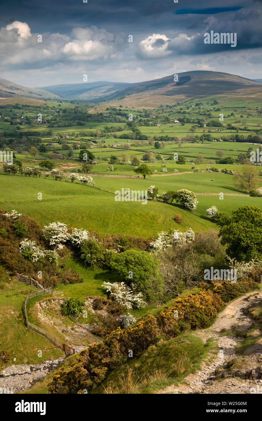 UK, Cumbria, Sedbergh, Settlebeck Gill view from Dales High Way path towards Garsdale Stock Photo