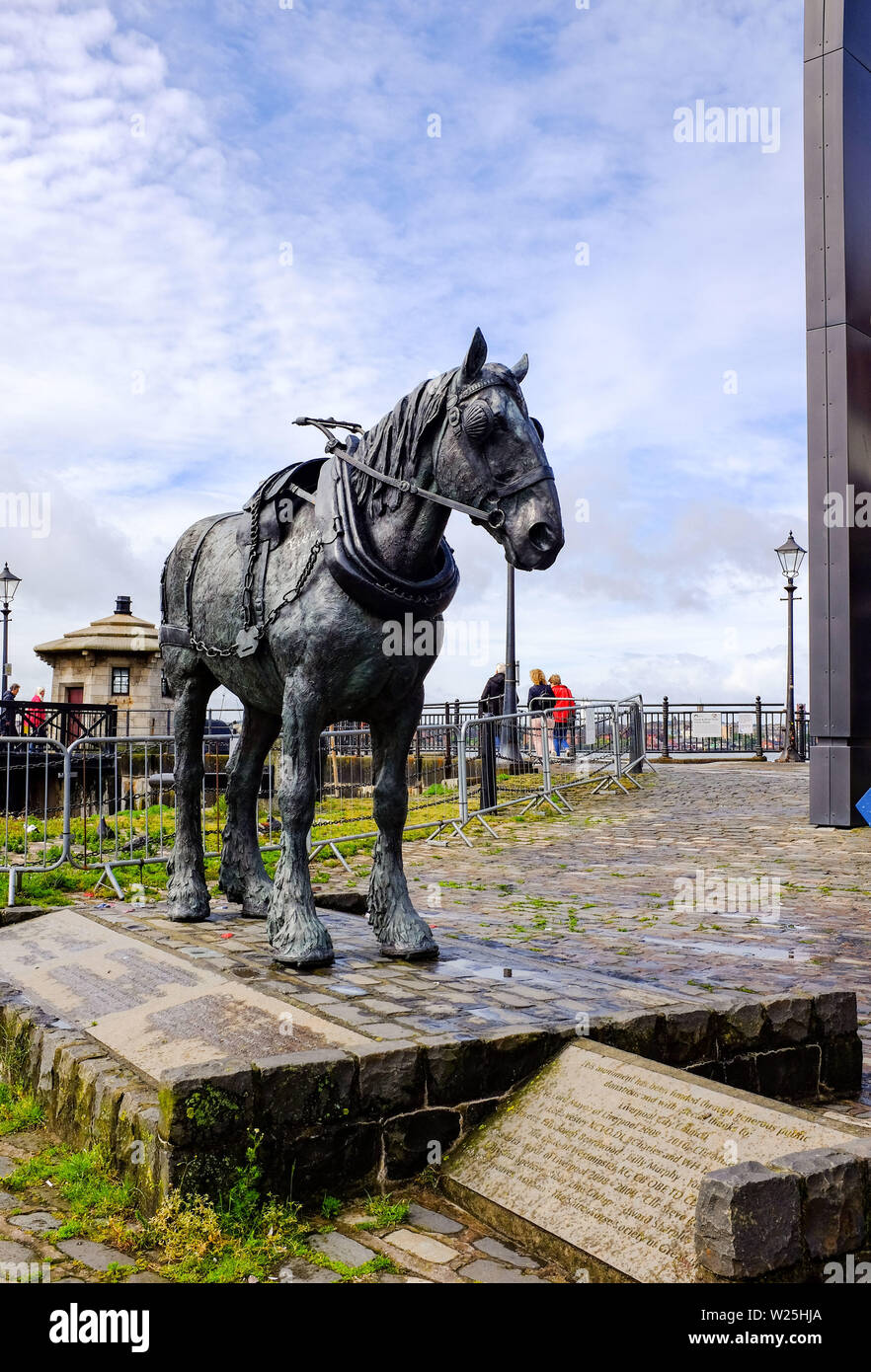 Dock Horses Stock Photos & Dock Horses Stock Images Alamy