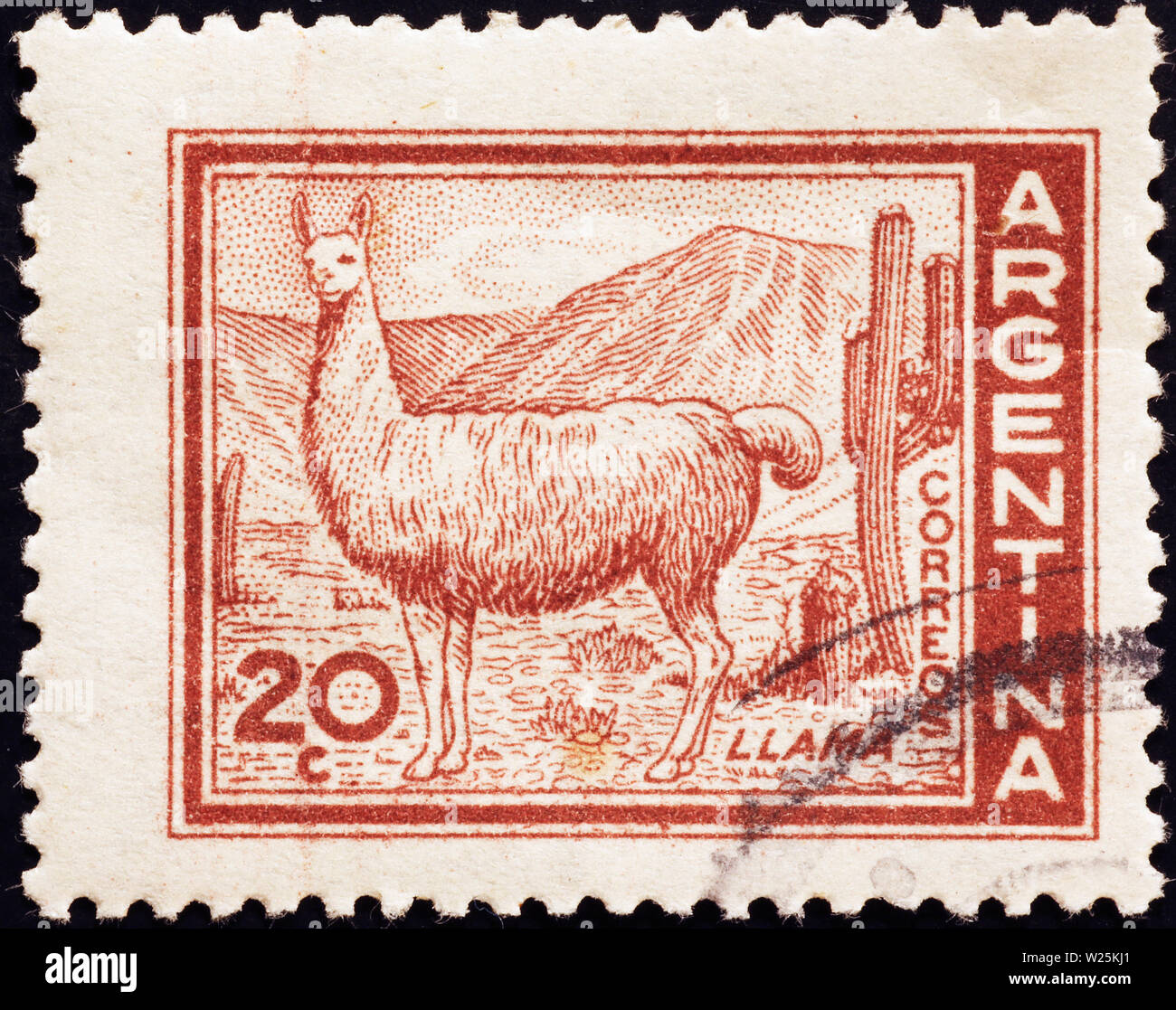 Llama on old american postage stamp Stock Photo