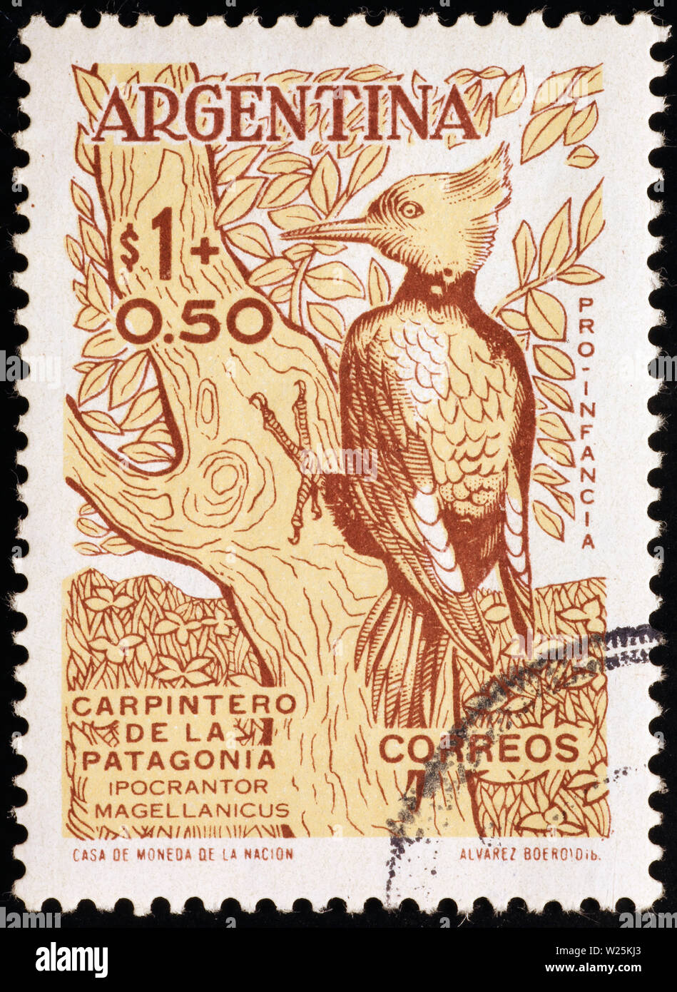 Magellanic woodpecker on postage stamp of Argentina Stock Photo