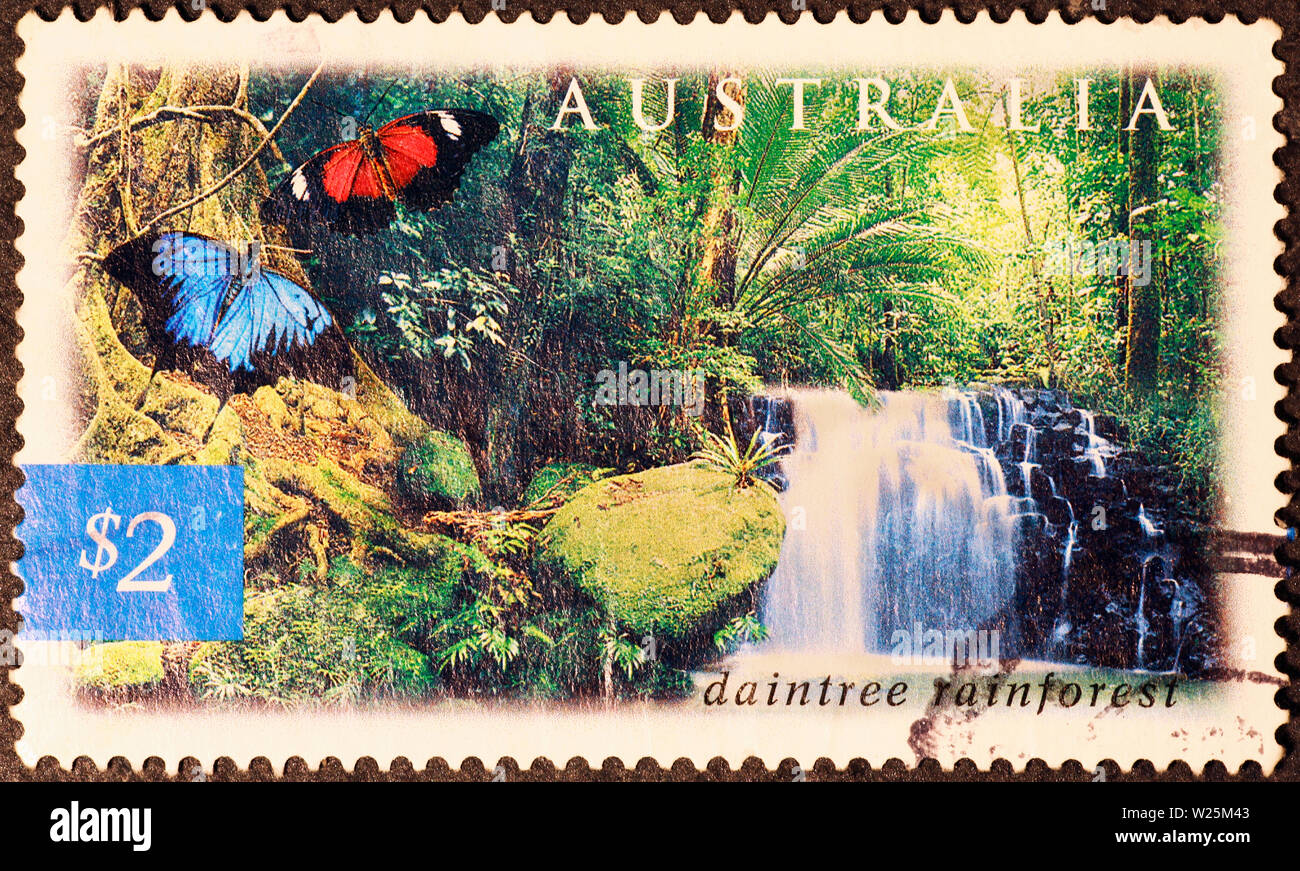 Daintree rainforest on australian postage stamp Stock Photo