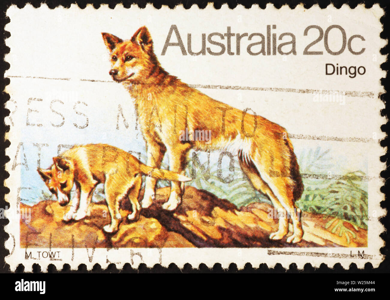 Dingos on australian postage stamp Stock Photo