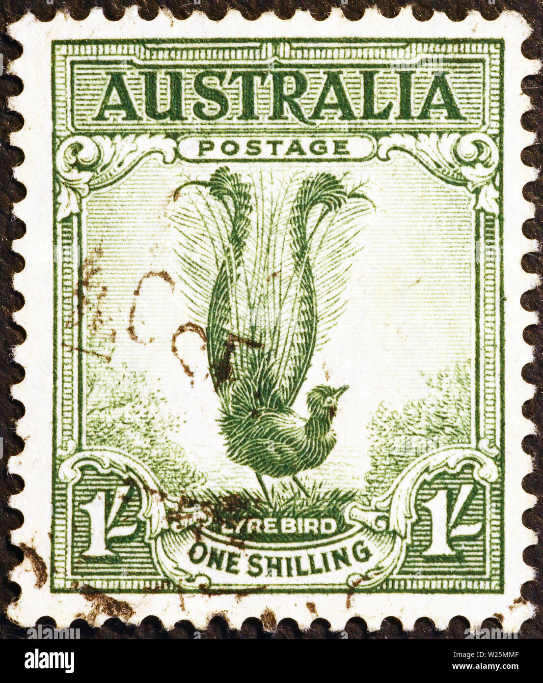 Lyrebird on vintage australian postage stamp Stock Photo Alamy