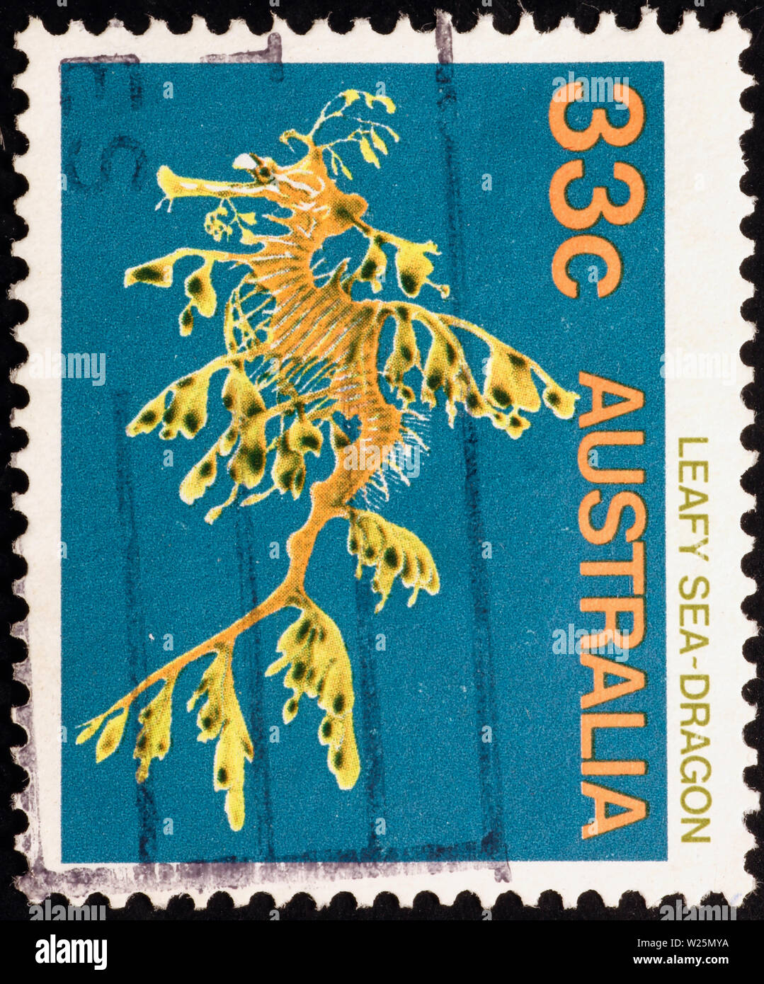 Mimetic seahorse on australian postage stamp Stock Photo