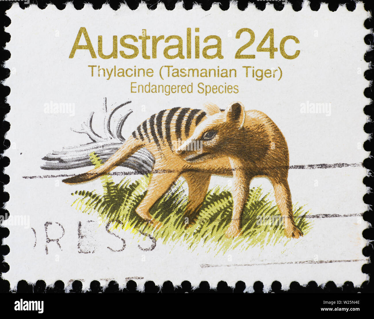The extinct tasmanian tiger on australian postage stamp Stock Photo
