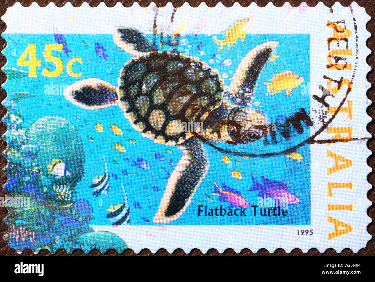 Turtle and fish on australian postage stamp Stock Photo
