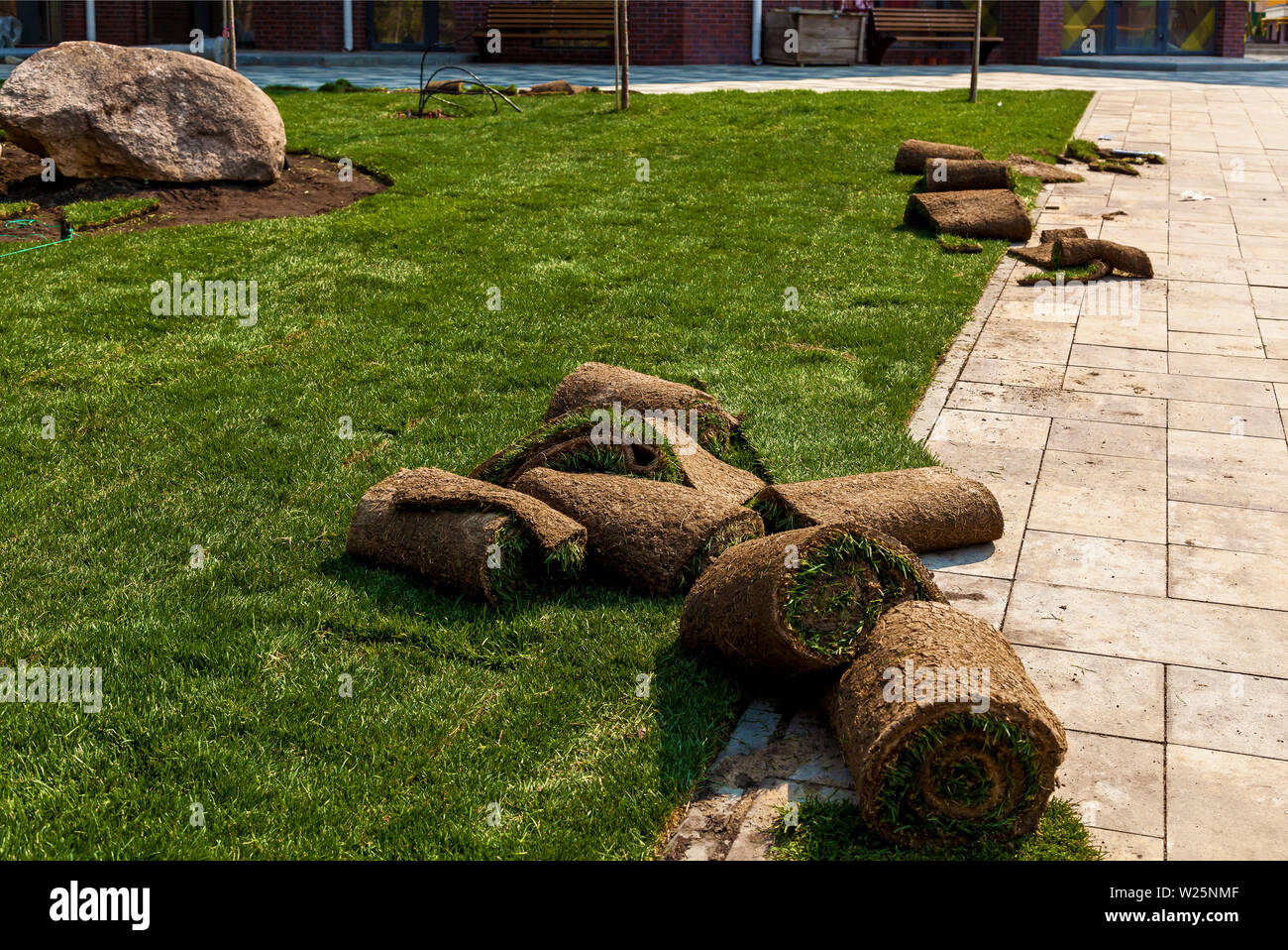 Green grass in rolls for lawn and designer landscape. The stacking of roll green lawn grass