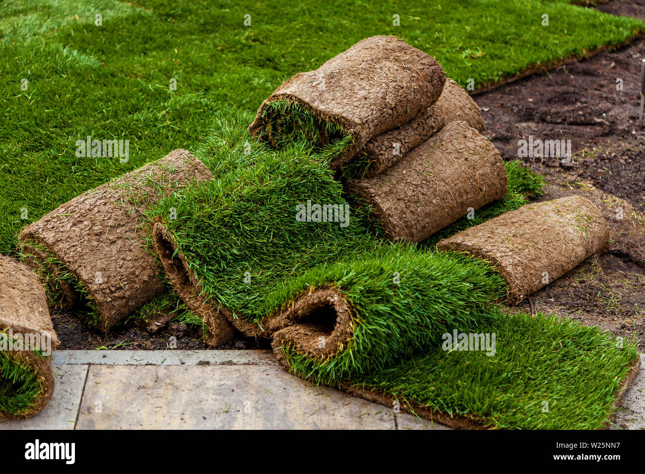 Green grass in rolls for lawn and designer landscape. The stacking of roll green lawn grass