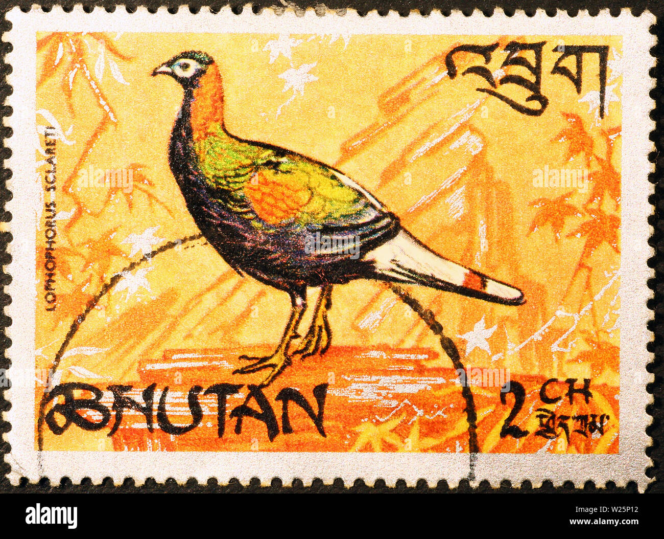Beautiful pheasant on postage stamp of Bhutan Stock Photo Alamy