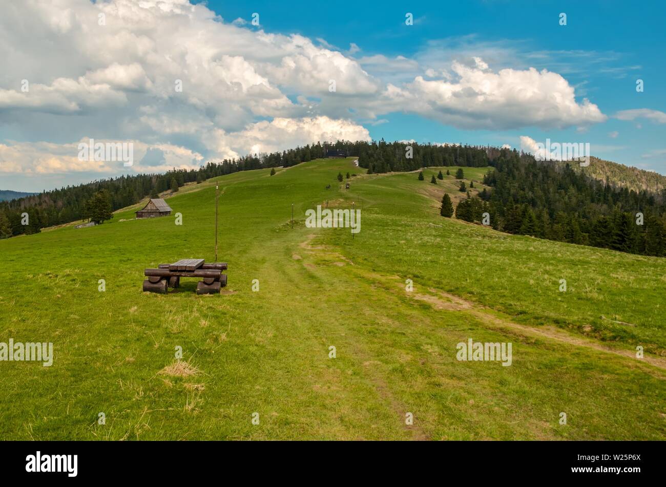 Beautiful spring mountain landscape. Green clearing on a mountain trail
