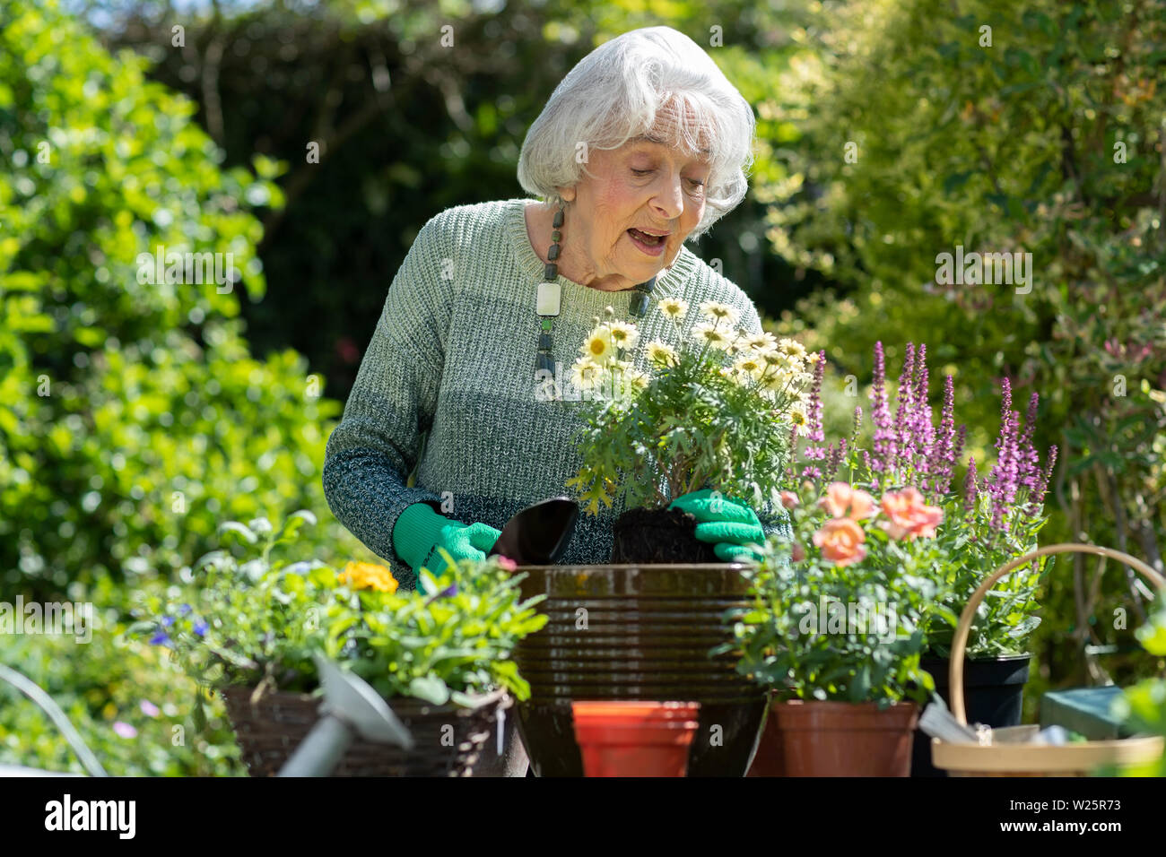 Senior Woman Potting Plant In Garden At Home Stock Photo
