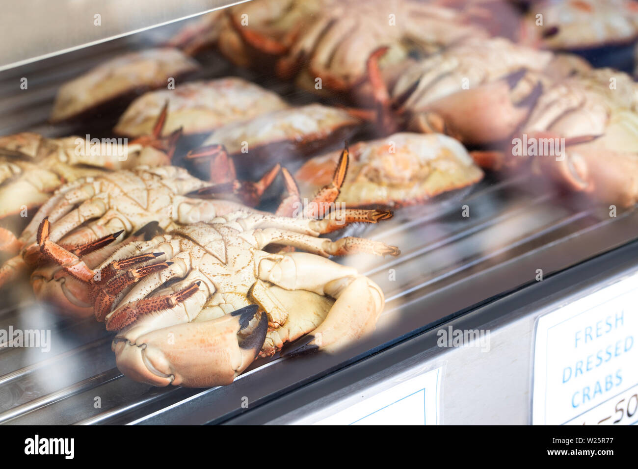Dressed Crab Seafood Stock Photos & Dressed Crab Seafood Stock Images