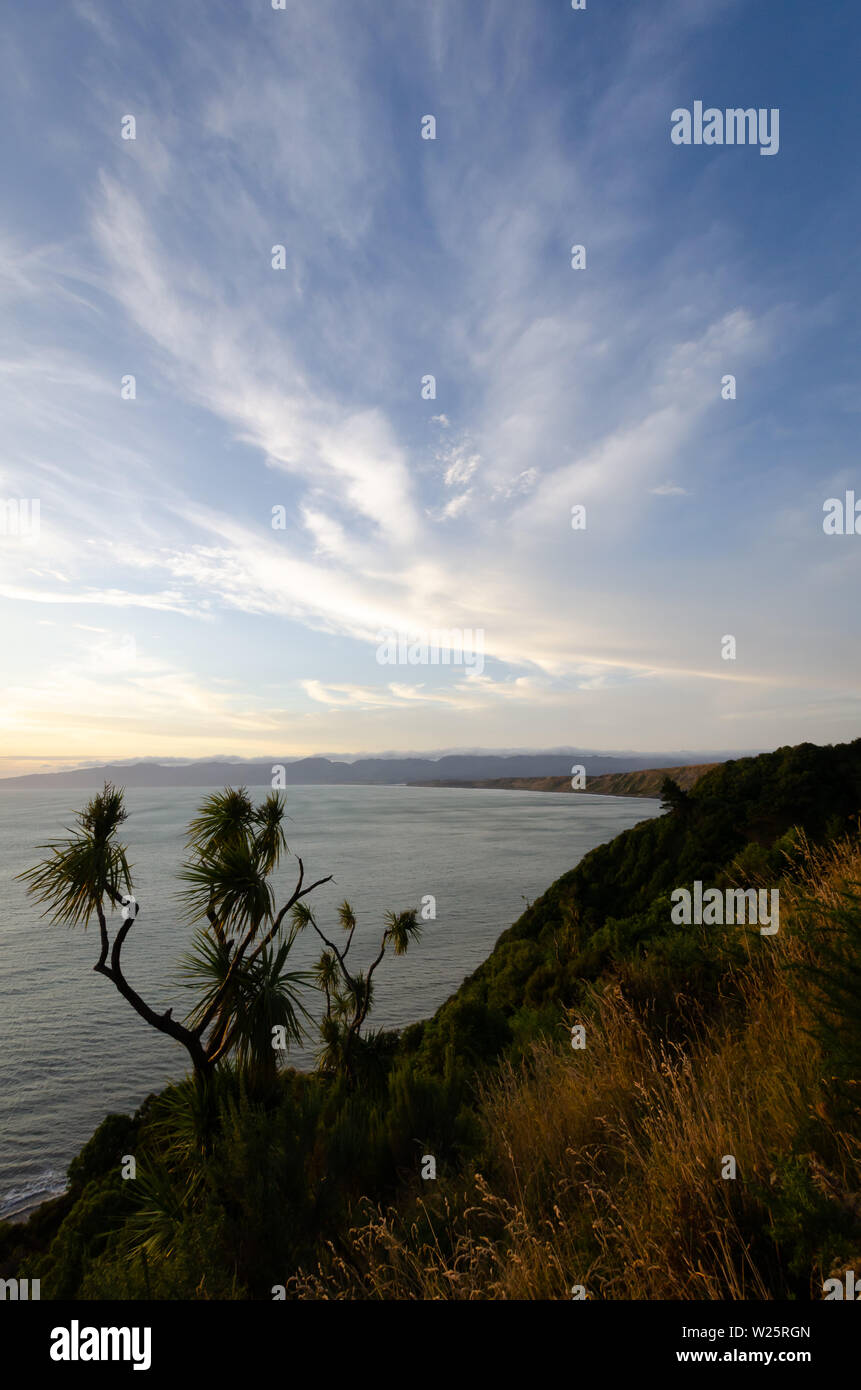 Cabbage tree bay hires stock photography and images Alamy
