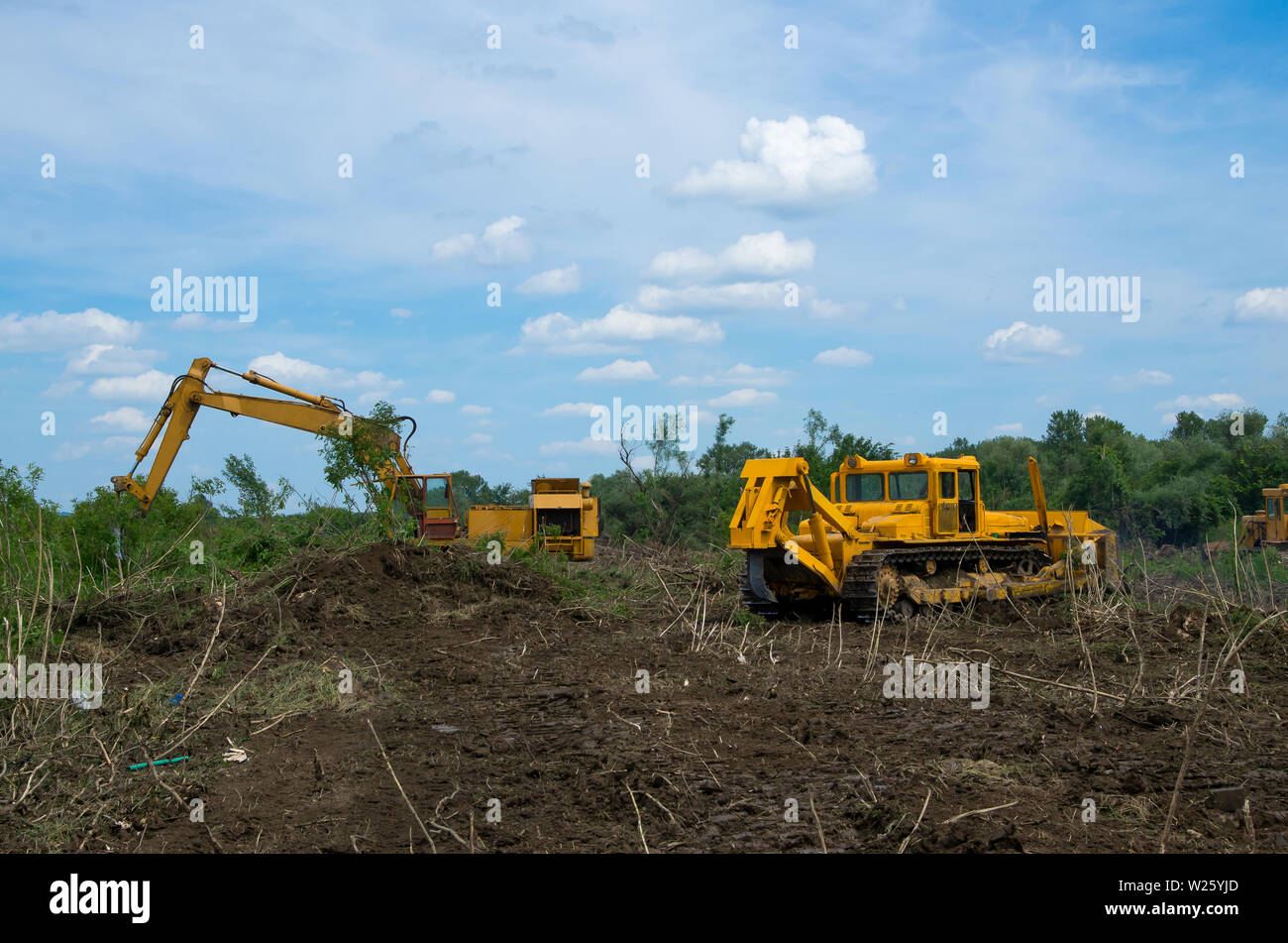 Bulldozer and excavator. Mechanical Site Preparation for Forestry. Stock Photo