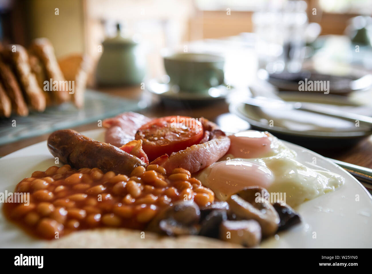 traditional British and Scottish breakfast with egg, beans, tomato, mushroom and haggis served on a white plate, standing on a table with a blurred ba Stock Photo