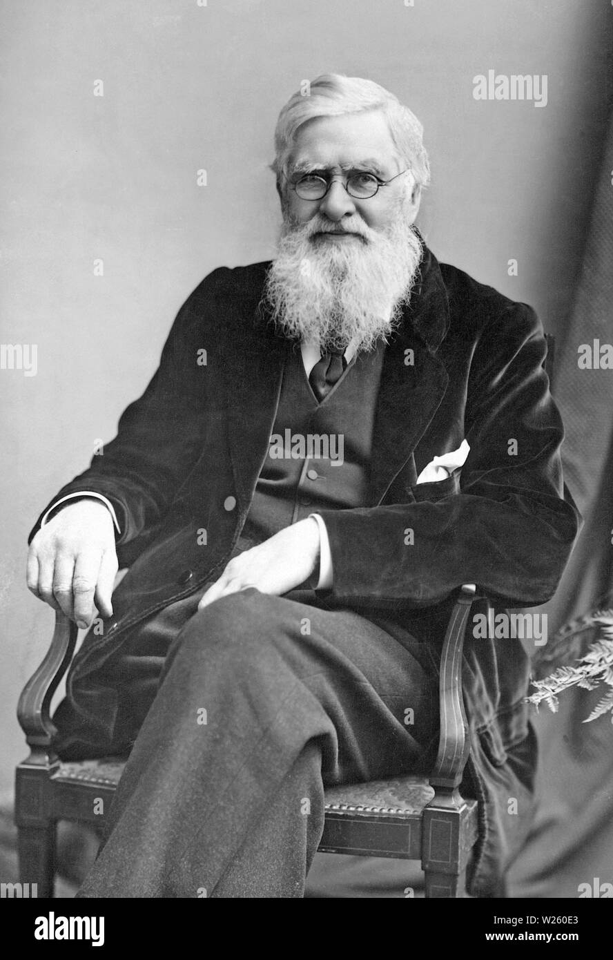 ALFRED RUSSELL WALLACE (1823-1913) English naturalist, explorer and biologist about 1895 Stock Photo