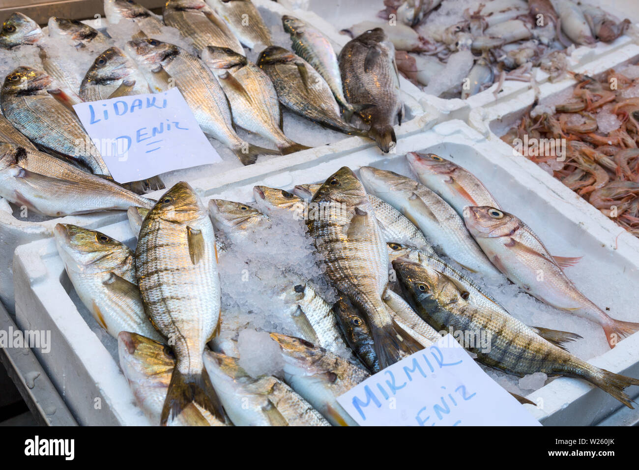 Fresh fishes at the market Stock Photo Alamy