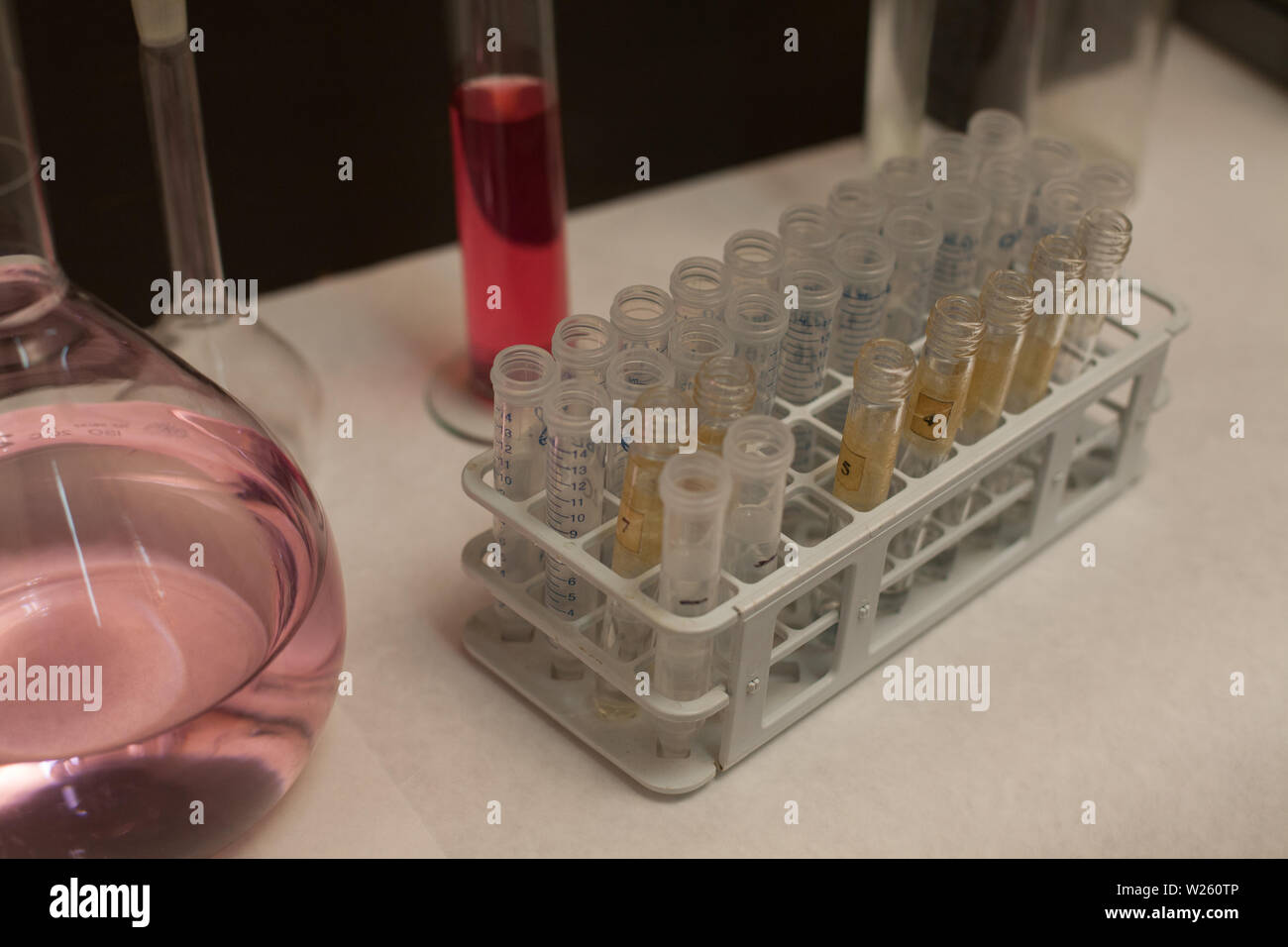 Test tubes and containers for experiments in the laboratory Stock Photo