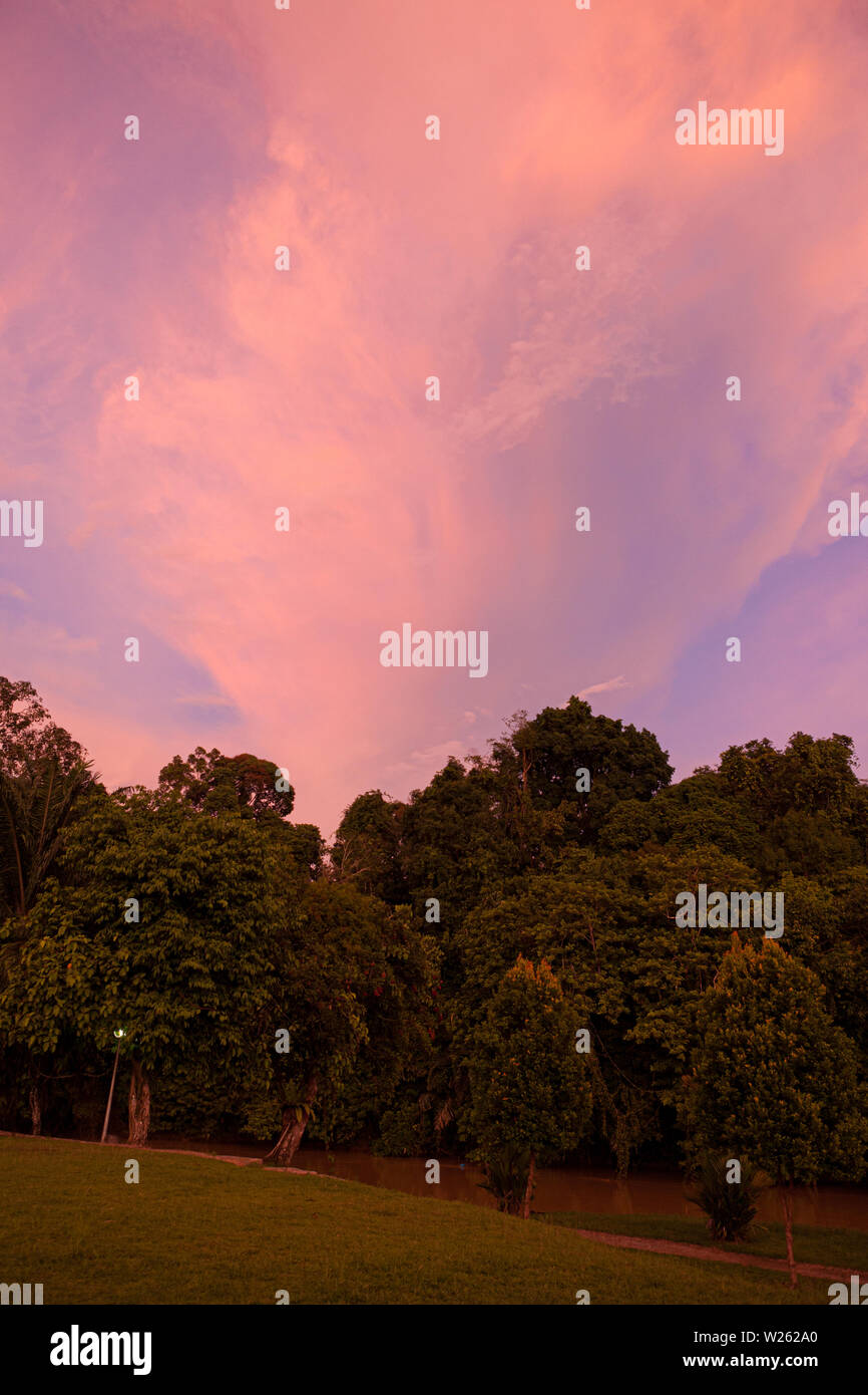 Vivid sunset clouds and trees Stock Photo