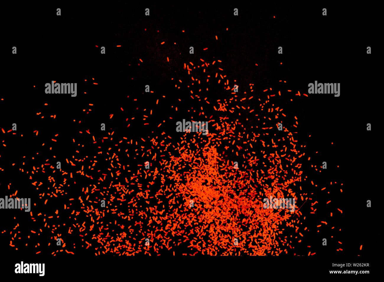 Orange dust particles explosioon on black background. Stock Photo