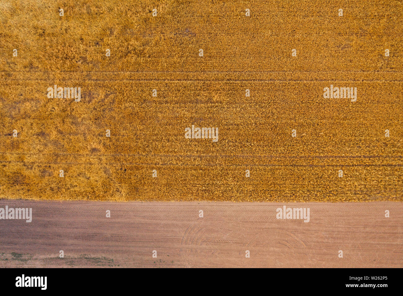 Aerial drone photography of farm lands. Agricultural parcels of flat lands in Poland, Europe