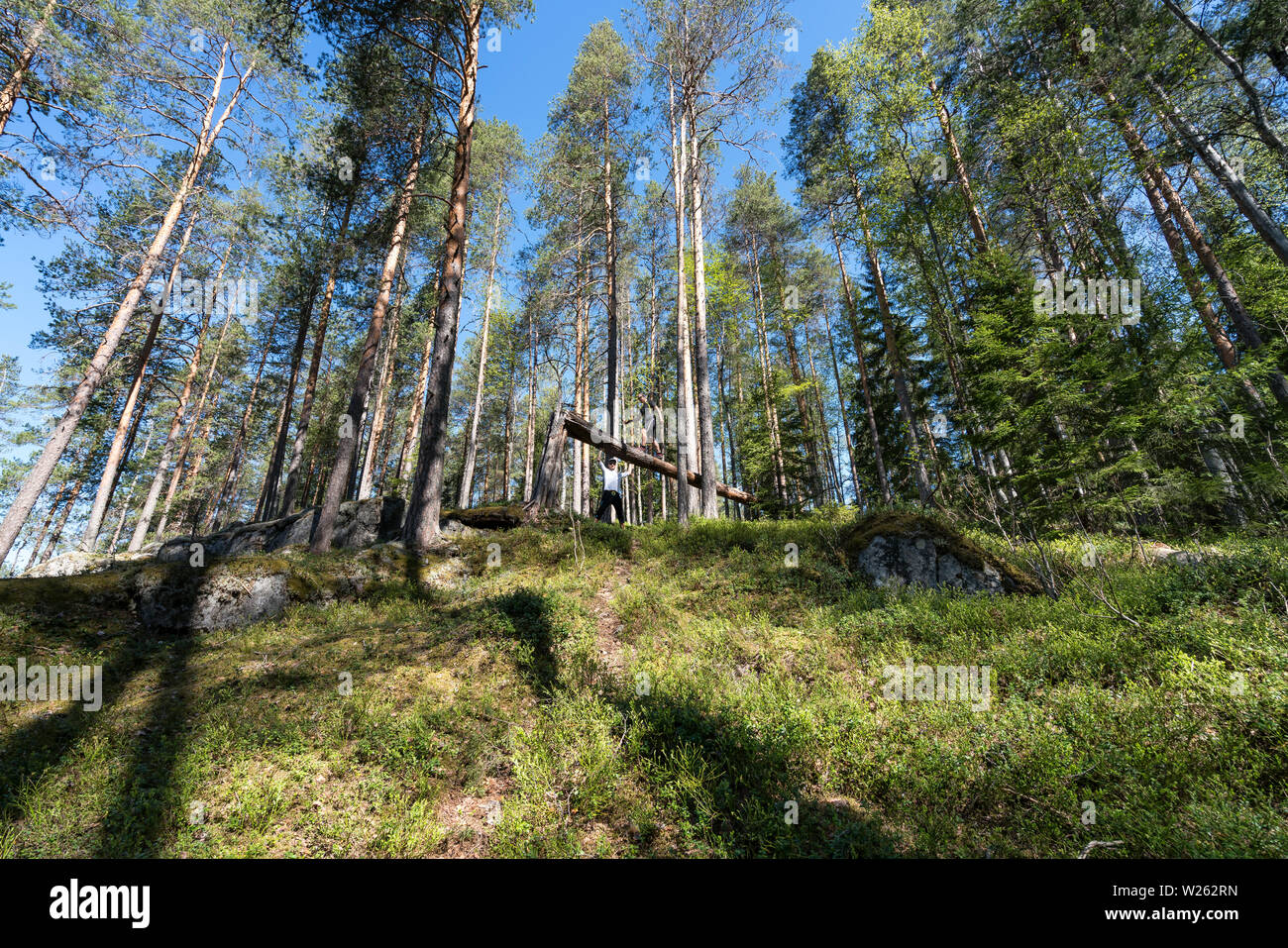 Day hiking at Kolovesi national park, Enonkoski, Finland Stock Photo