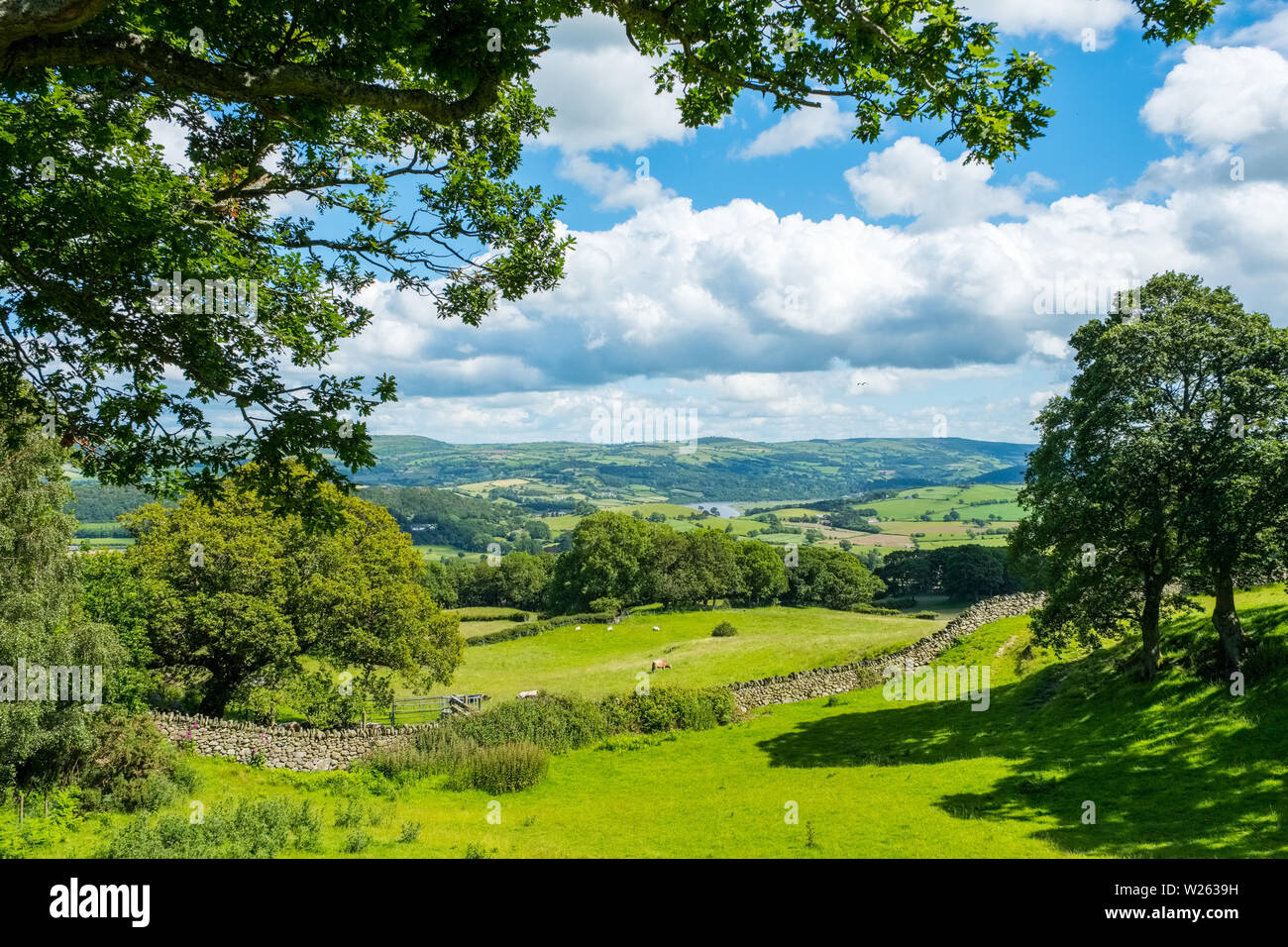 The Conwy Valley / Afon Conwy in North Wales,UK Stock Photo