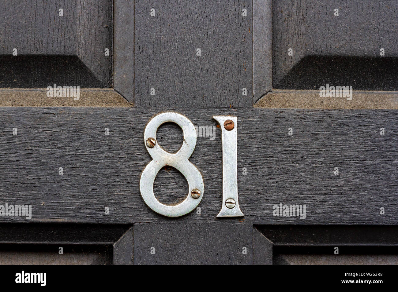 House number 81 with eighty-one the in metal digits on a wooden front door Stock Photo