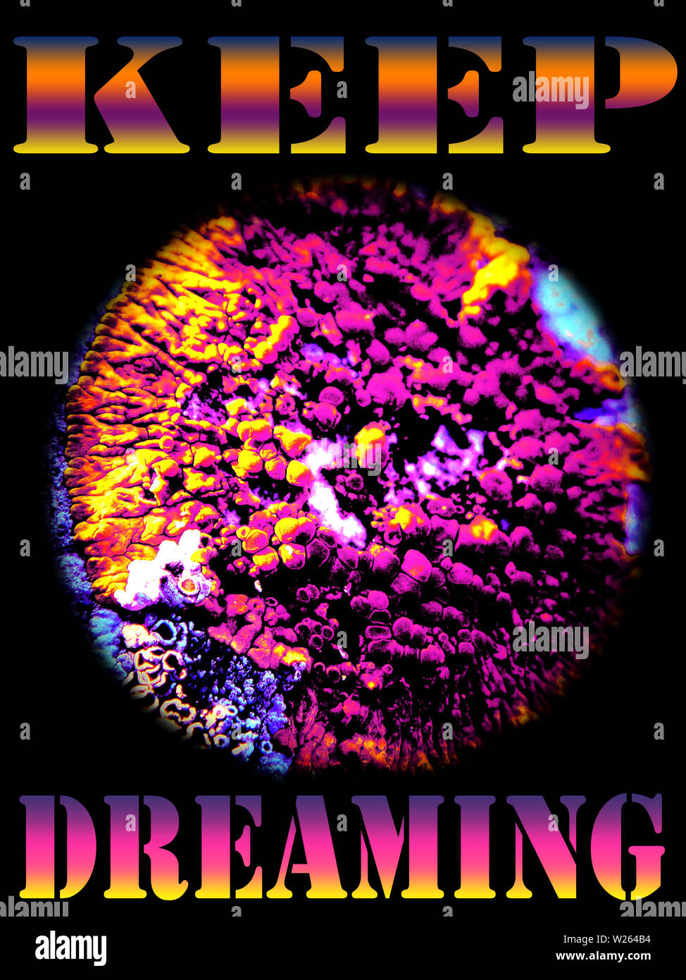 Page 3 Motivational Saying High Resolution Stock Photography And Images Alamy