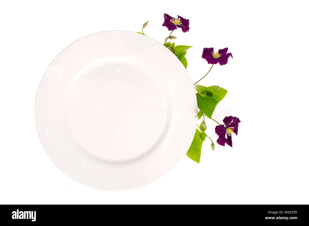 Plate with violet flowers, mock up for menu.  Stock Photo