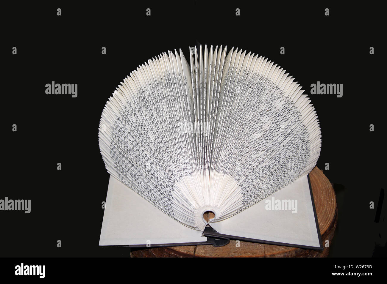 paperwork made of a book, pages folded into a fan, presented on a trunk, black background Stock Photo