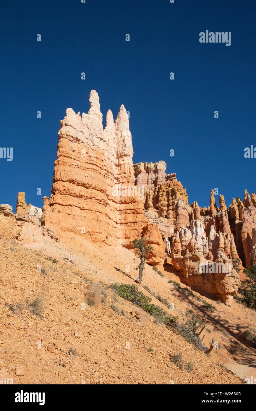 Bryce canyon national park in Utah, USA Stock Photo - Alamy