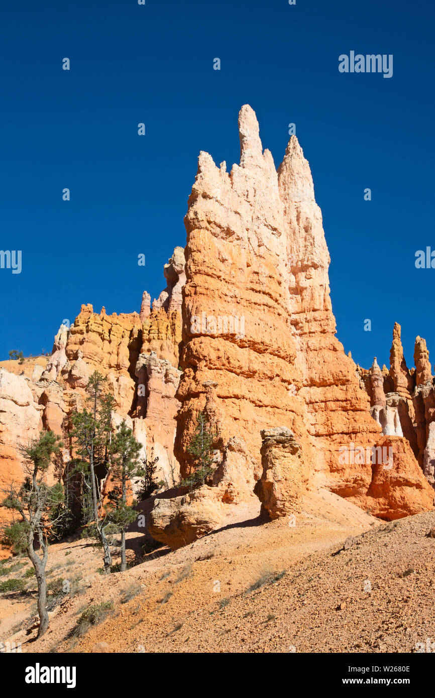 Bryce canyon national park in Utah, USA Stock Photo - Alamy