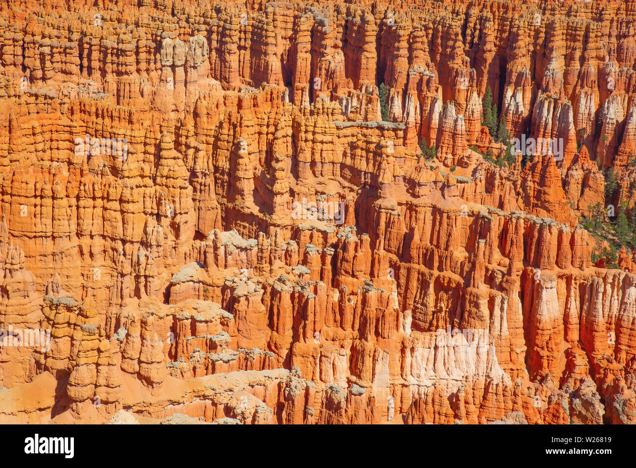 Bryce canyon national park in Utah, USA Stock Photo - Alamy