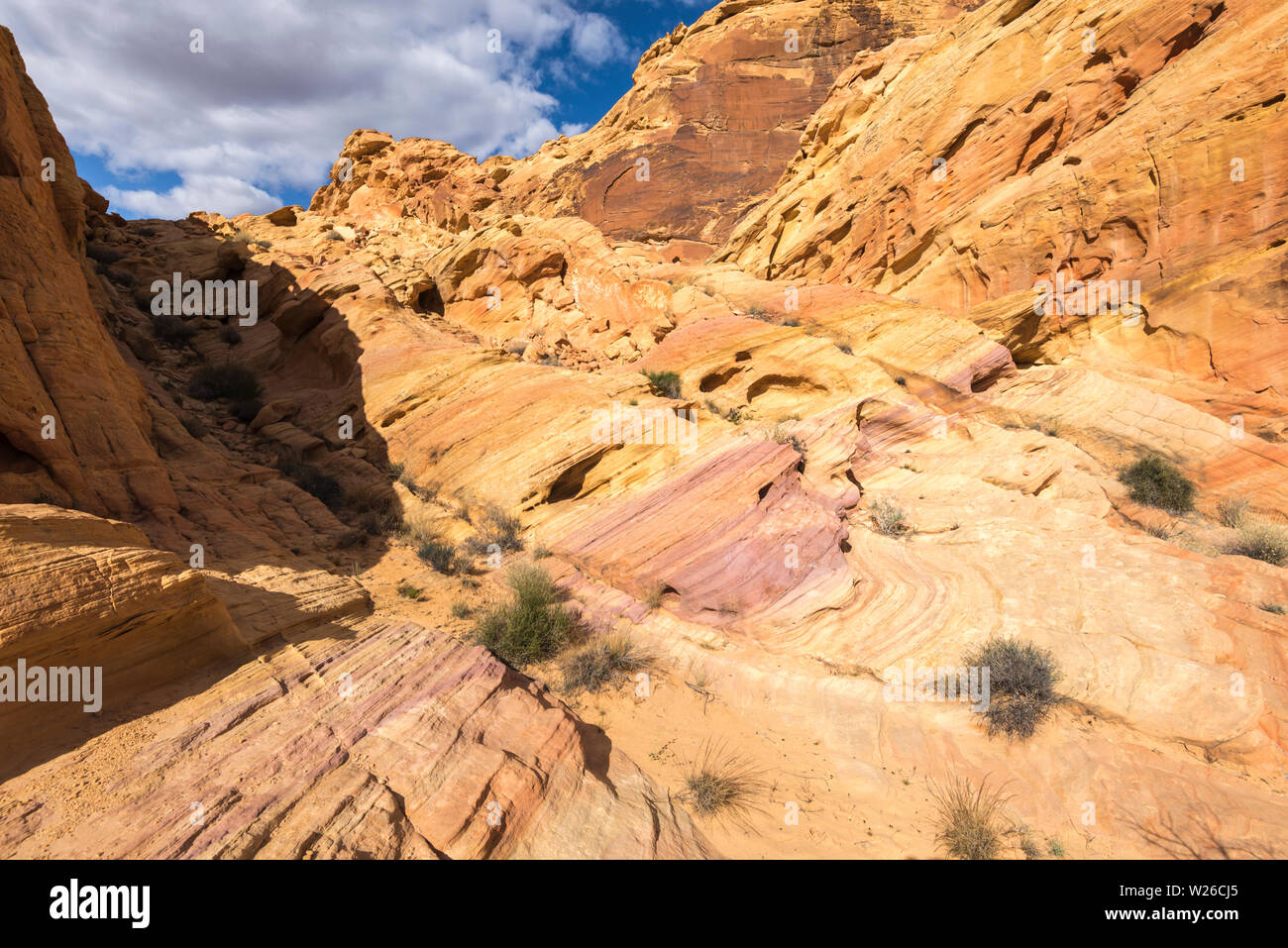 Colorful rock formations on the Rainbow Vista trail. Valley of Fire State Park, Nevada, USA. Stock Photo