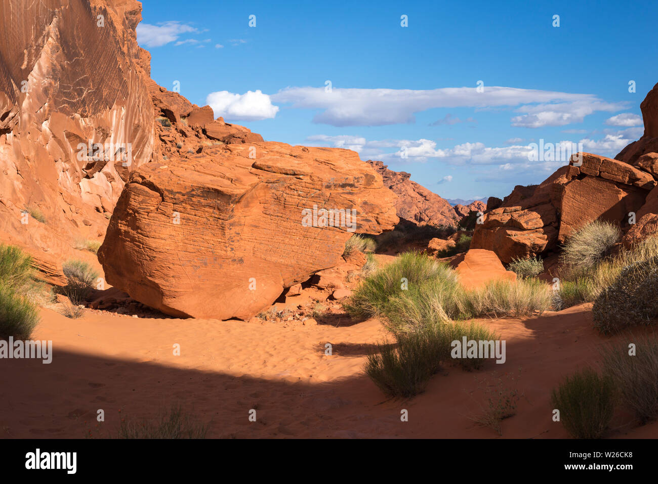 Scenery on the Rainbow Vista trail. Valley of Fire State Park, Nevada, USA. Stock Photo