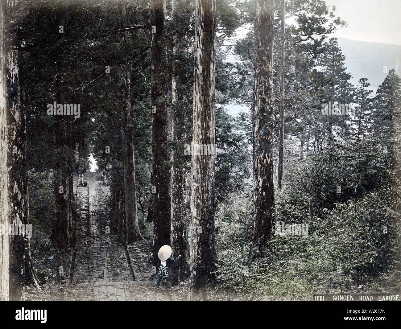 [ 1880s Japan - Gongen Road, Hakone ] —   The cryptomeria tree lined road to Hakone Gongen, an ancient shinto shrine in Hakone, Kanagawa Prefecture. Also known as Hakone Jinja, its sacred torii gate on Lake Ashinoko is often shown in photographs of Hakone.  19th century vintage albumen photograph. Stock Photo