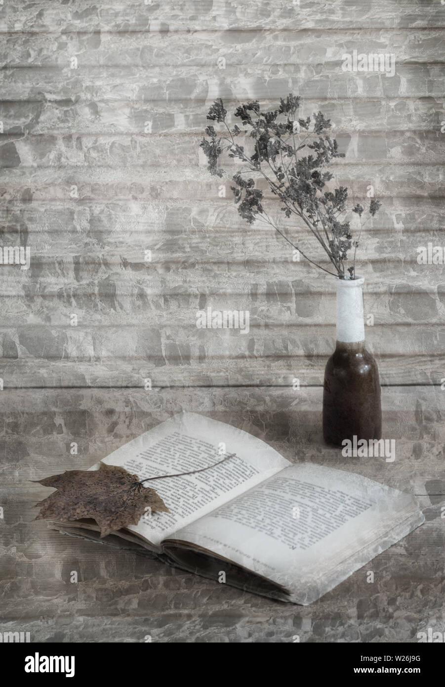 Still life with book, fall leaf and dry flower on grey-brown factured background.  Stock Photo
