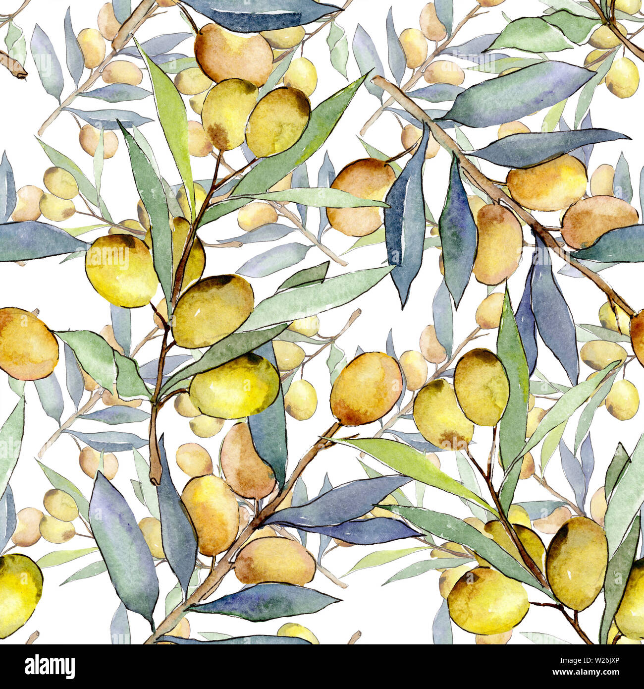 Olive branch with green fruit. Watercolor background illustration set ...