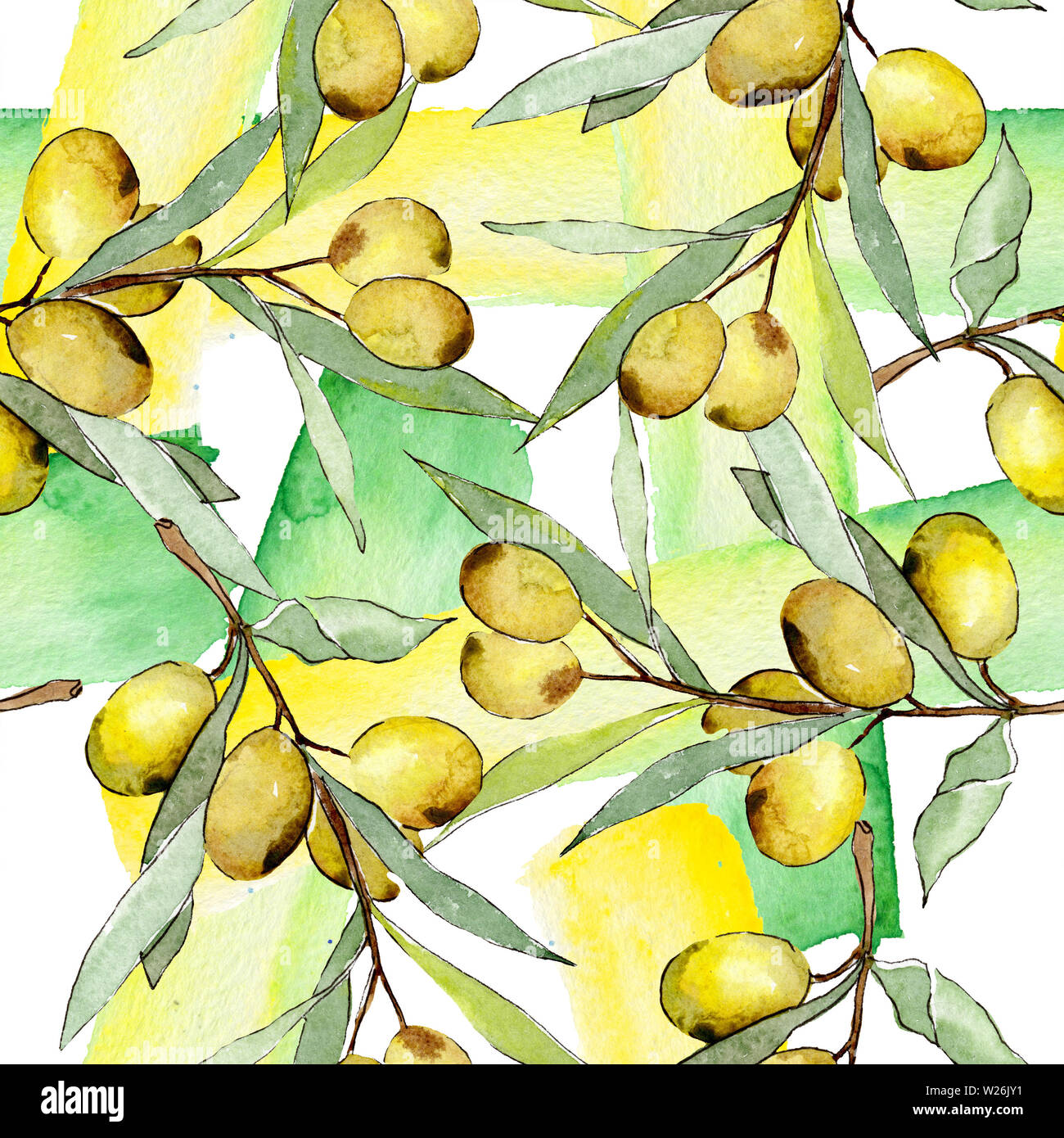 Olive branch with green fruit. Watercolor background illustration set ...