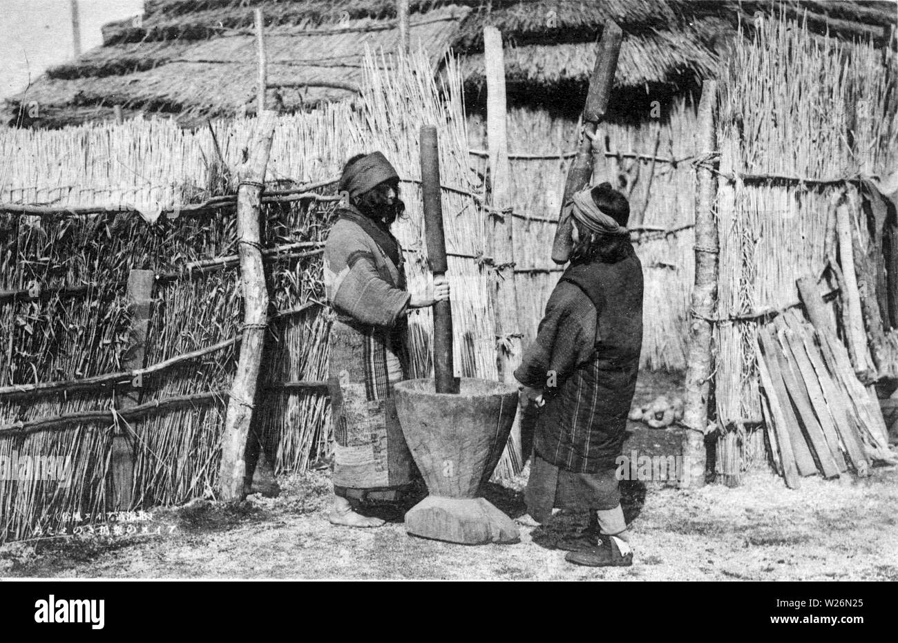 [ 1920s Japan - Ainu Women ] —   Two Ainu women using a traditional Ainu mortar (nisu), made from a hollowed-out sugi (cryptomeria) log. It was used for threshing millet (later replaced by rice), wheat, and roots, as well as for beating grains into flour and paste.  20th century vintage postcard. Stock Photo
