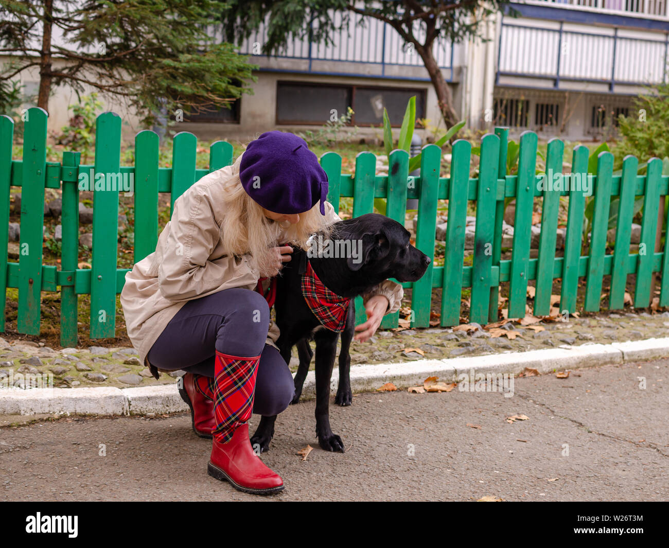 black dog outfit