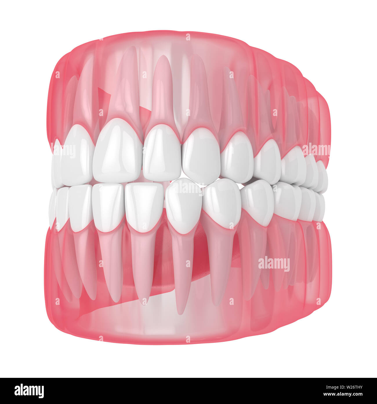 3d render of jaw with teeth over white background Stock Photo - Alamy
