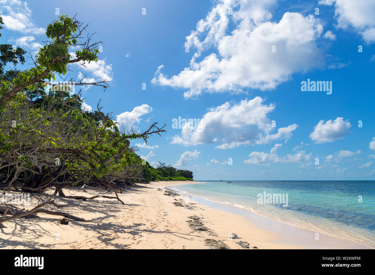 Beach on Green Island, a coral cay in the Great Barrier Reef Marine Park, Queensland, Australia Stock Photo