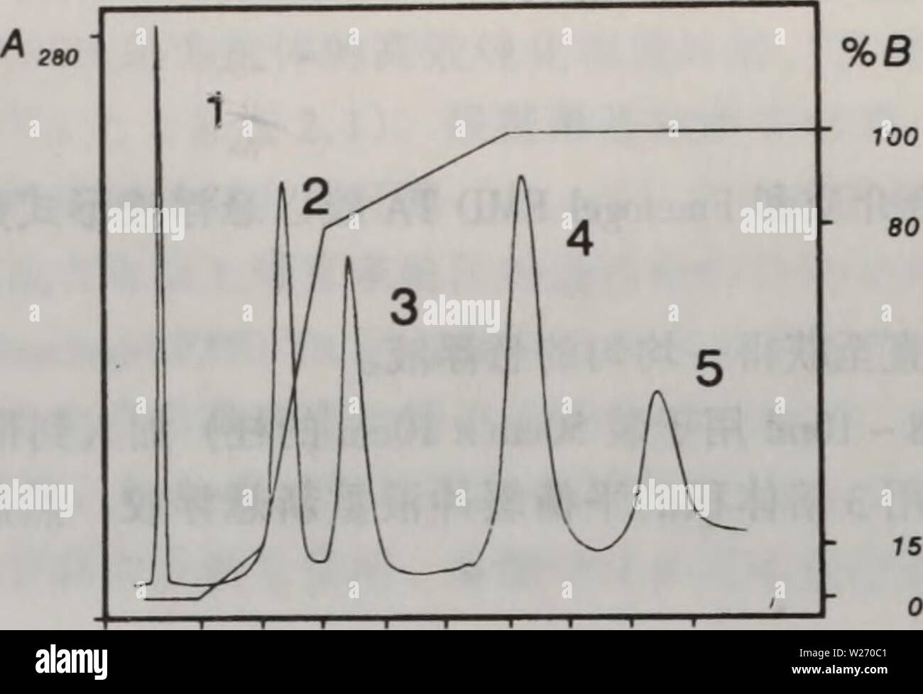 Archive image from page 29 of dan bai zhi jie gou. dan bai zhi jie gou fen xi zhi bei jian ding yu wei liang ce xu  danbaizhijiegouf00rmka Year: 2000.3  20 40 60 80 ç®¡æ° å¾2.1 BDA-Cu (n)æ±ä¸çè½å±æå¾è°±ãå°ç¥ç»éåç´ ãèç¼æ¿è½ãçé¿æ¿ç´ éæ¾æå¶å å-ãè¡ç®¡ç´§å¼ ç´ åéè¾è½æ··åçä¸æ ·äºè¯åæCu (n)çIDA-Fractogel EMDè¯åæ±ãç¨ 0.02 mol/Lç£é ¸é ï¼Imol/LNaCl (pH7.0)çç¼å²æ¶²å¹³è¡¡æ±ï¼æ´æ±ä¹åç¨0.1 mol/Lç£¯é ¸é ï¼ Imol/LNaQ (pH3.8)å¨æµéä¸º1 ml/åéä¸è¿è¡pHæ¢¯åº¦æ´è±ï¼è§å¾ï¼ãç¥ç»éåç´ ï¼å³°1) ä¸æ±ä¸ç»åï¼å¨æ´æ¼æ-¥éª¤ä¸-å³è¢«æ´ä¸ï¼å ·ææå¼ºç»ååçä¸ºå«æç»æ°£é ¸çéæè½ï¼å³°4)å è¡ç®¡ç´§å¼ ç´ m (å³°5)ãå«æä¸æ°£é ¸çè½ãèç¼æ¿è½ï¼å³°2 Stock Photo