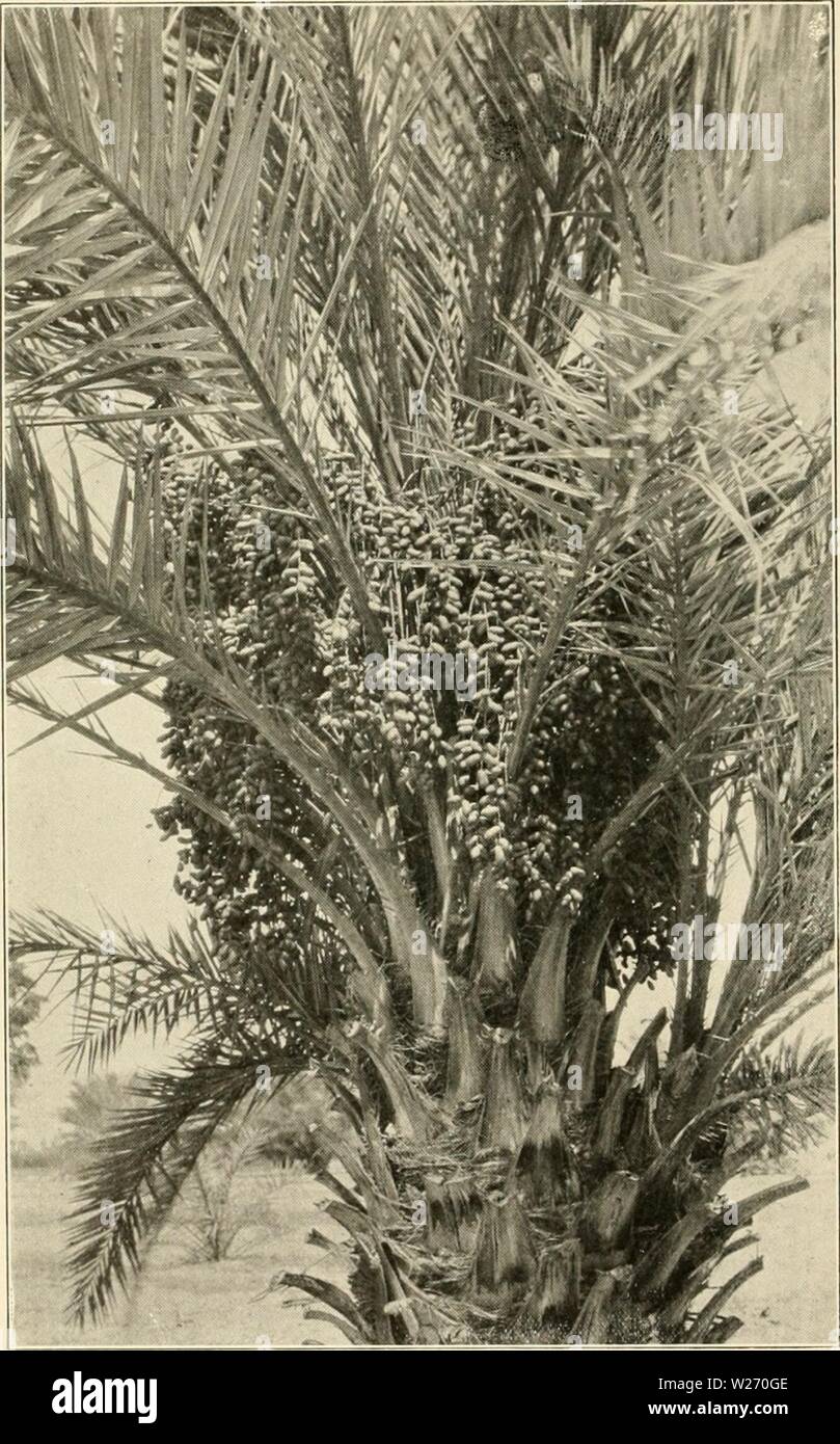 Mecca cal hires stock photography and images Alamy