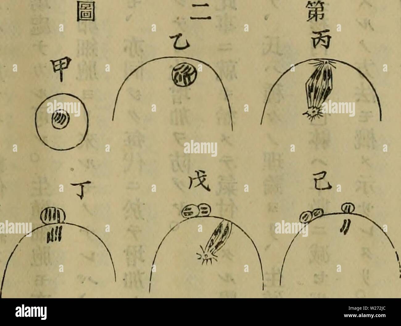 Archive Image From Page 34 Of Dbutsugaku Zasshi 18 Dbutsugaku Zasshi Dbutsugakuzasshi06niho Year 18 Ac Ae E C A A Aº 0 e A A A A A a A 1aae A A A Aªaaa Acaaa 1aa Ac Ii e A A A A E E Ac E A A1aa aaaa aaa C Ea A