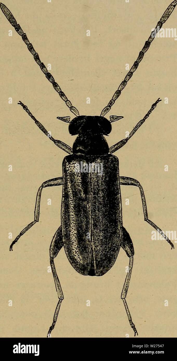 Luk 2 Stock Photos Luk 2 Stock Images Alamy