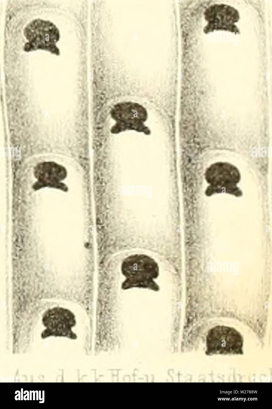 Page 2 K Lk High Resolution Stock Photography And Images Alamy